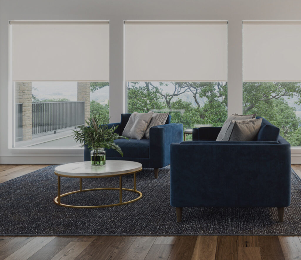 Living room with window screens